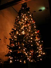 2004ǯ����ߥ͡�����󡡤��Σ�