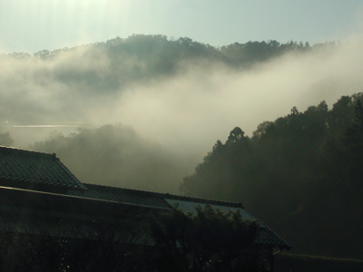 朝は一面、霧の中を。