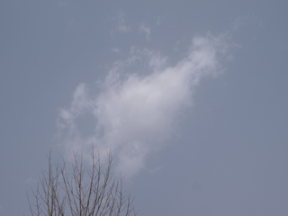 2009年3月16日正午頃の空。